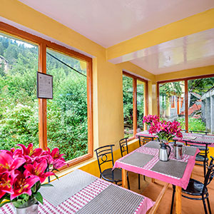 Honeymoon Package for Kinnaur